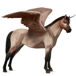 winged unicorn pony  australian pony roan