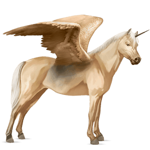 winged unicorn pony  australian pony palomino