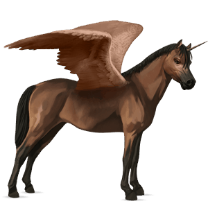 winged unicorn pony  newfoundland pony liver chestnut