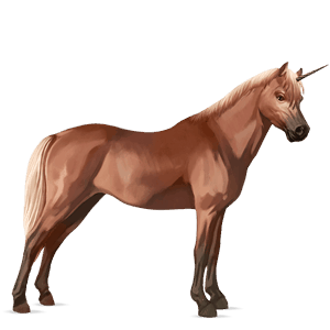 unicorn pony haflinger flaxen chestnut 