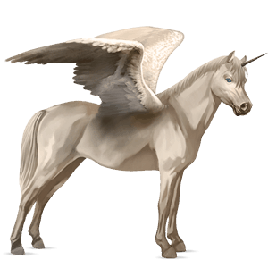 winged unicorn pony  welsh dark bay