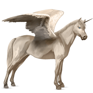 winged unicorn pony  dapple gray