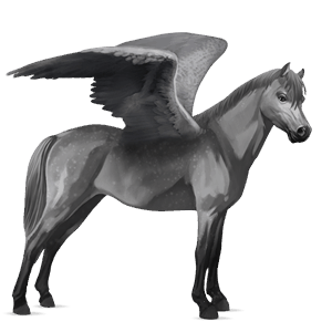 pegasus pony connemara dapple gray