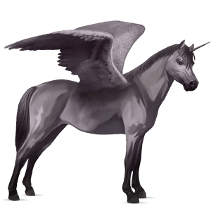 winged unicorn pony  australian pony mouse gray