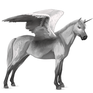 winged unicorn pony  australian pony dapple gray