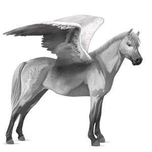 riding pegasus light gray