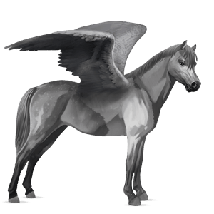pegasus pony connemara light gray