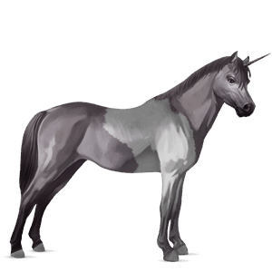 unicorn pony australian pony light gray