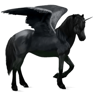 winged riding unicorn brumby black