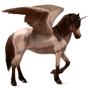 winged riding unicorn roan