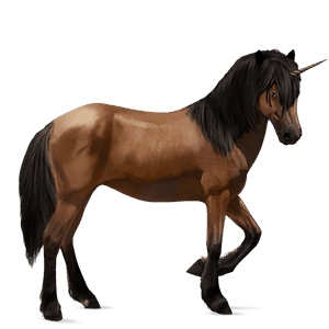 riding unicorn quarter horse cherry bay