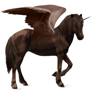 winged riding unicorn canadian horse dark bay