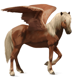 riding pegasus vanner black