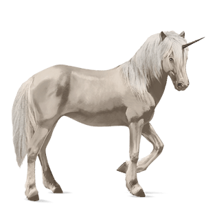 unicorn pony newfoundland pony cremello