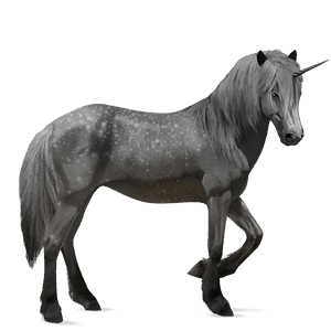 draft unicorn dapple gray