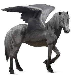 riding pegasus brumby dapple gray