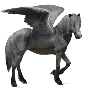 riding pegasus icelandic horse mouse gray