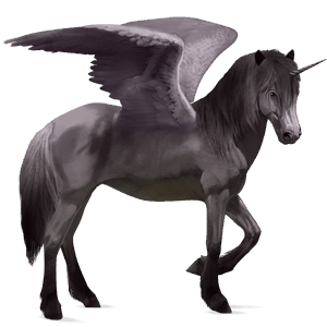 winged riding unicorn dark bay