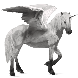 winged riding unicorn icelandic horse dark bay