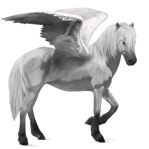 riding pegasus argentinean criollo palomino