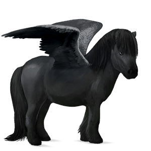 pegasus pony highland pony light gray