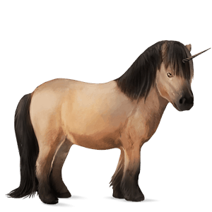 unicorn pony newfoundland pony dapple gray