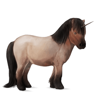 unicorn pony shetland strawberry roan