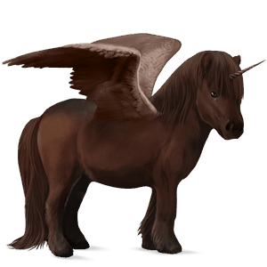 winged unicorn pony  shetland liver chestnut