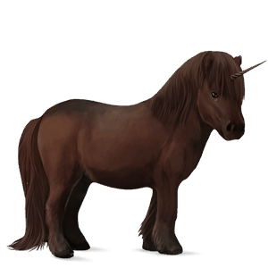 unicorn pony newfoundland pony chestnut