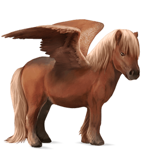 pegasus pony dun