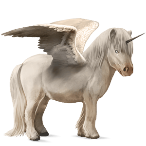 winged unicorn pony  dapple gray