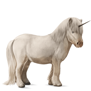 unicorn pony shetland cremello