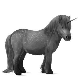 unicorn pony shetland dapple gray