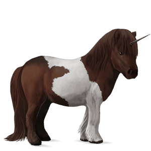 unicorn pony shetland liver chestnut tobiano