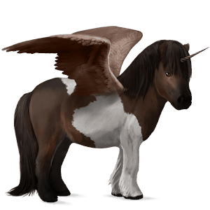 winged unicorn pony  shetland dark bay tobiano