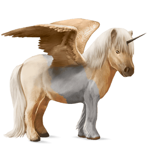 winged unicorn pony  dun