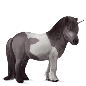 unicorn pony shetland chestnut