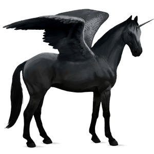 winged riding unicorn black