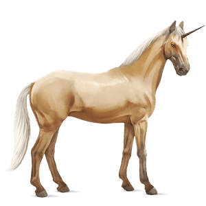 riding unicorn canadian horse black