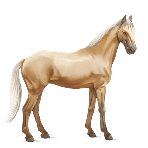 riding horse quarter horse palomino