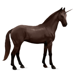 riding unicorn trakehner liver chestnut