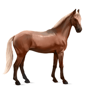 riding horse kwpn flaxen chestnut 