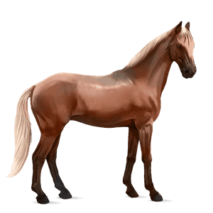 pony haflinger flaxen chestnut 