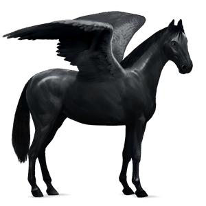 riding pegasus arabian horse light gray