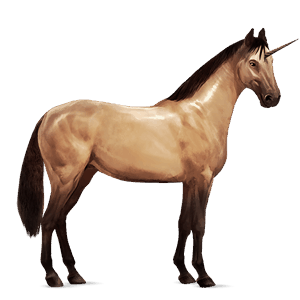 riding unicorn marwari black