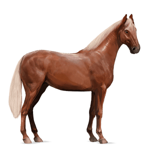 riding horse quarter horse flaxen chestnut 