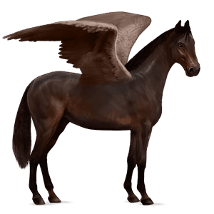 riding pegasus lusitano dark bay