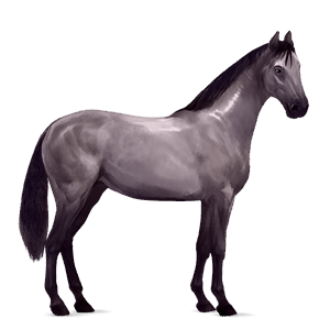 riding horse mustang light gray