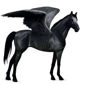 riding pegasus arabian horse flaxen chestnut 