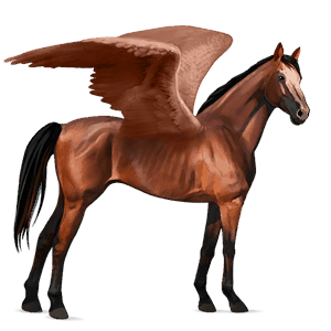 riding pegasus mustang black
